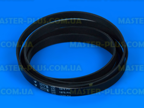 Ремень 1975 H8 «Hutchinson» черный для сушильной машины