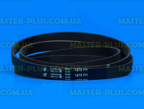 Ремень 1975 H8 «Hutchinson» черный для сушильной машины