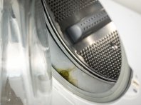 Плесень в стиральной машине как избавиться?