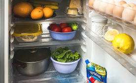 Через сколько времени можно включать холодильник после перевозки?